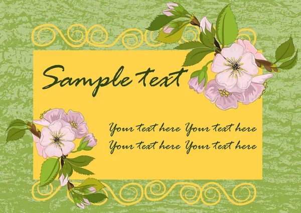 Bahar çiçeği arkaplanı