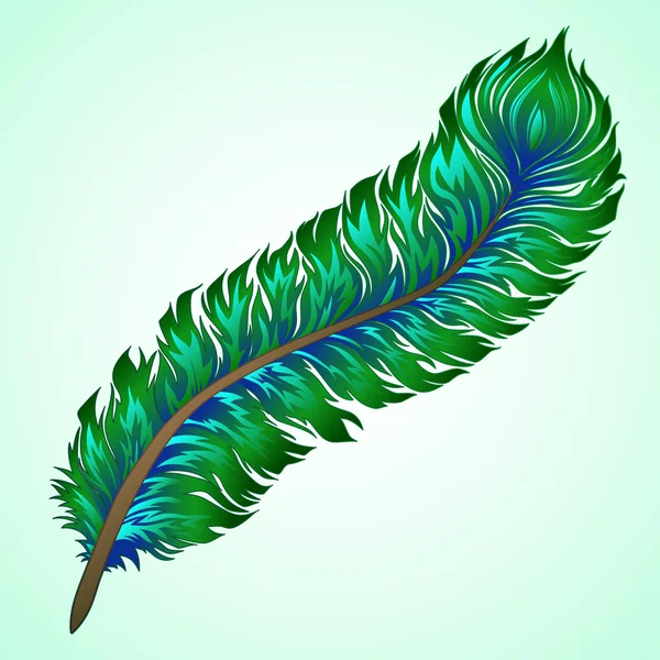 Vector pluma colorida — Vector de stock