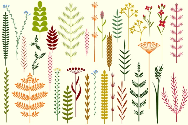 Conjunto de hierbas de verano — Archivo Imágenes Vectoriales