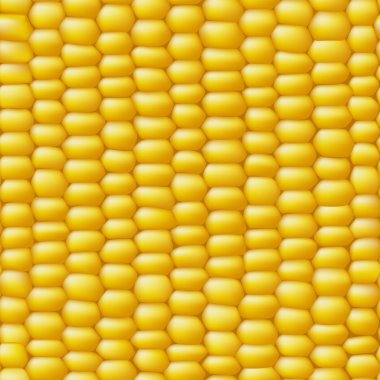 Mısır vektörel sorunsuz gerçekçi doku