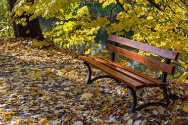 Tahta tezgah sonbahar parkı güneşli gün kapanıyor