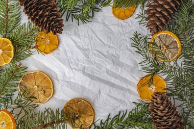 fir branches and cones on white crumpled paper copy space