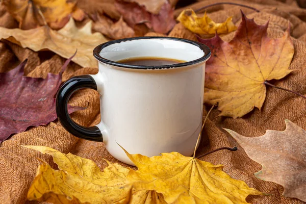 Xícara de café no fundo de folhas de bordo amarelas — Fotografia de Stock