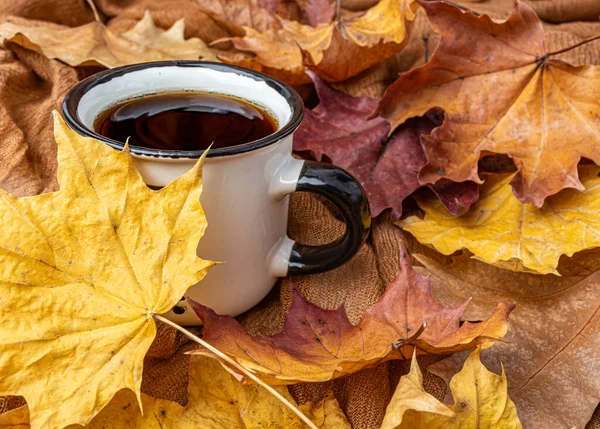 Чашка кофе на фоне желтых листьев клена — стоковое фото