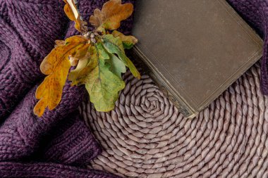 Eski kitap ve sarı meşe yaprakları, sonbahar arkaplanı. Yüksek kalite fotoğraf