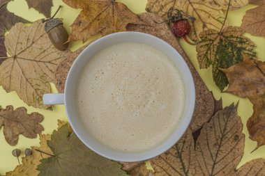 Arka planda sonbahar manzaralı akçaağaç yaprağıyla bir fincan kahve. Yüksek kalite fotoğraf