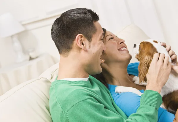 Rindo casal segurando cão — Fotografia de Stock