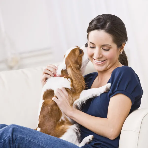 Cão beijando mulher — Fotografia de Stock