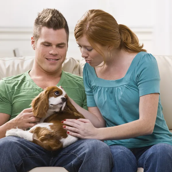 犬を飼っている若いカップル — ストック写真