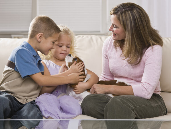 Семья играет с щенком
