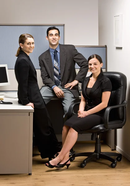 Co-workers sitting in office cubicle — Stock Photo, Image