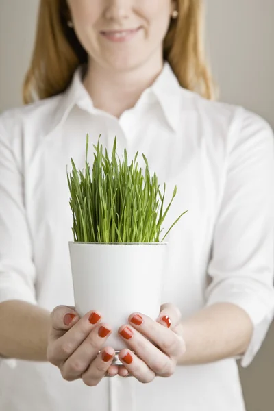 Junge Frau mit Topfpflanze — Stockfoto