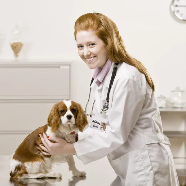 Young Female Veterinarian — Stock Photo, Image