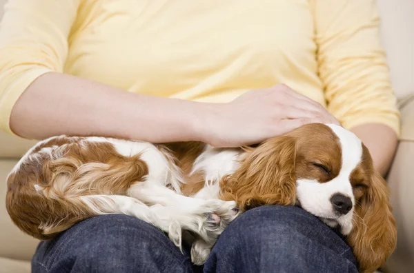 Vrouw met hond — Stockfoto