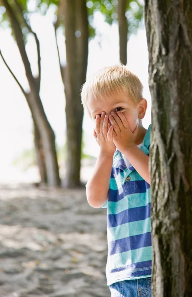 Junge versteckt sich hinter Baum — Stockfoto