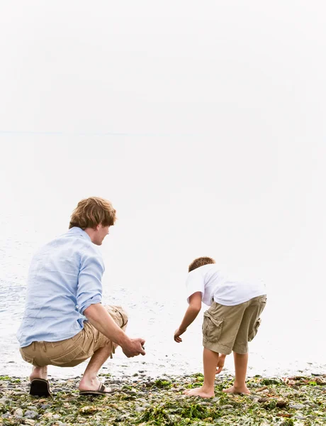 Pai e filho recolhendo pedras na praia — Fotografia de Stock