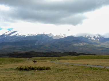 Antisana Ekolojik Rezervi, Antisana Volkanı, Ekvador