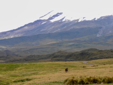 Antisana Ekolojik Rezervi, Antisana Volkanı, Ekvador