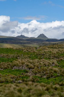 Antisana Ekolojik Rezervi, Ekvador