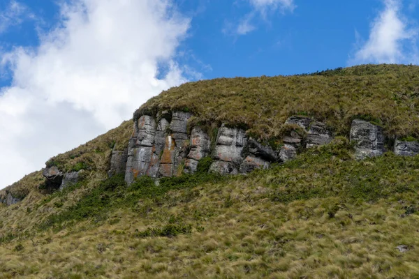 厄瓜多尔Antisana生态保护区 — 图库照片