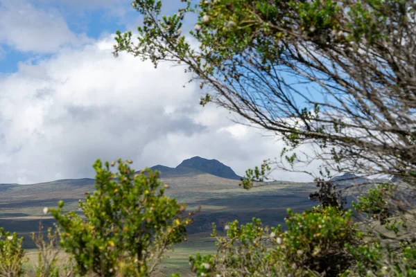 Antisana Ekolojik Rezervi, Ekvador