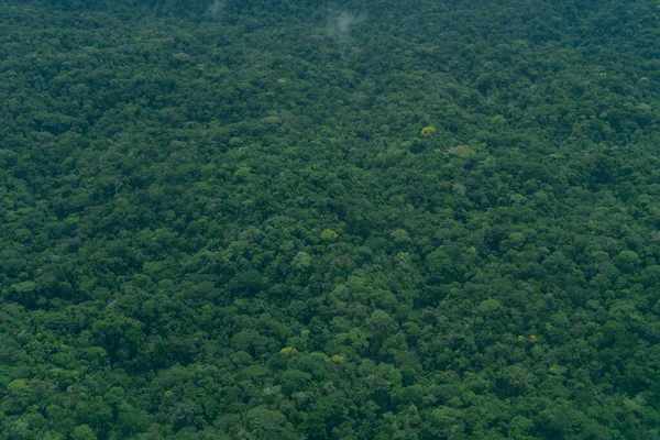 Kasım 2021 Shell Pastaza Ekvador Hafif Bir Uçaktan Amazon Manzarası — Stok fotoğraf