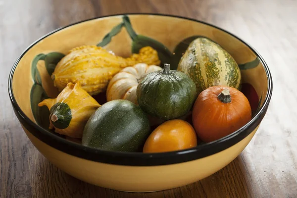 Bowl of Ornamental Gourds — Stock Photo, Image