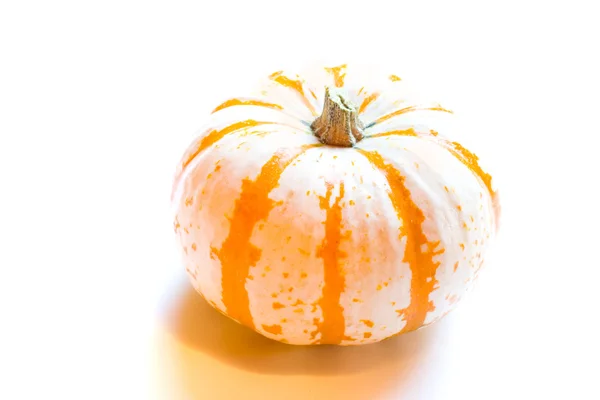 Miniature Pumpkin — Stock Photo, Image