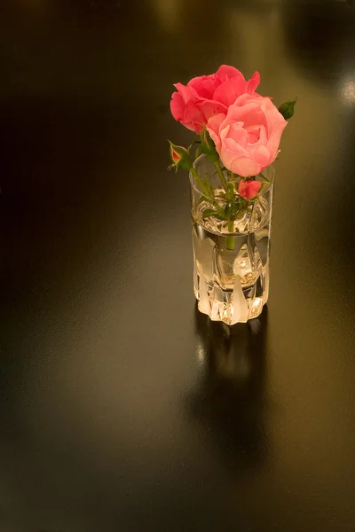 Two Roses in Crystal — Stock Photo, Image