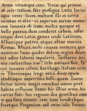 (Dan Virgil Latin hat