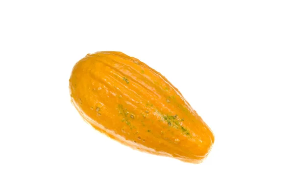 Ornamental Squash 8 — Stock Photo, Image