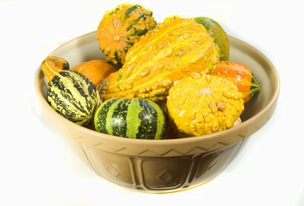 Bowl of Ornamental Squash — Stock Photo, Image