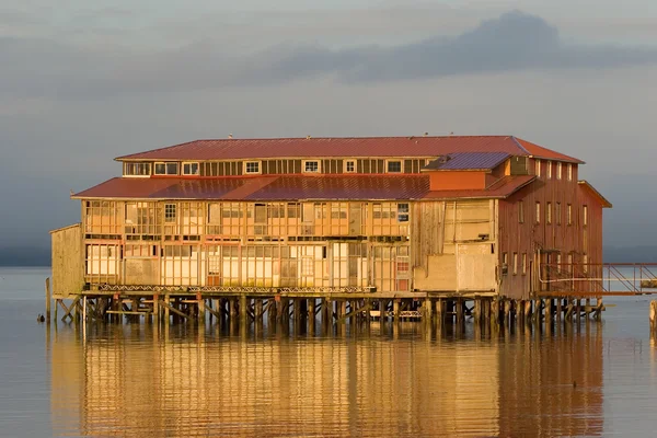 Gamla cannery byggnad, astoria, oregon — Stockfoto