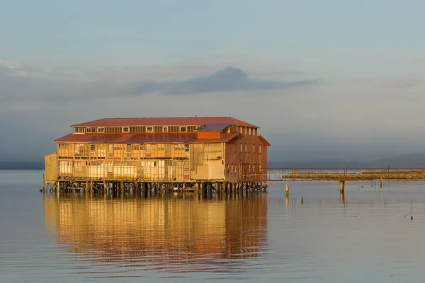 Old Cannery Building, Astoria, Oregon 4 — Stock Photo, Image