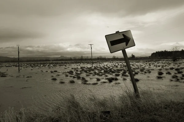 Inundación, Isla Svensen 2 —  Fotos de Stock