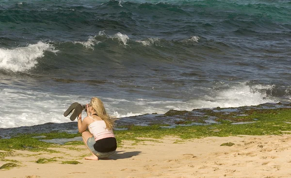 Mulher fotografando tartarugas marinhas — Fotografia de Stock