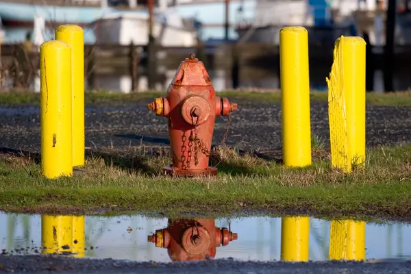 Požární hydrant a reflexe — Stock fotografie