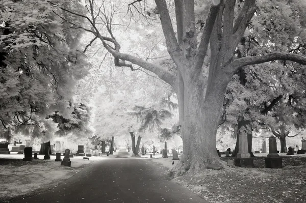 Infrared Photo of a Cemetery — Stock Photo, Image
