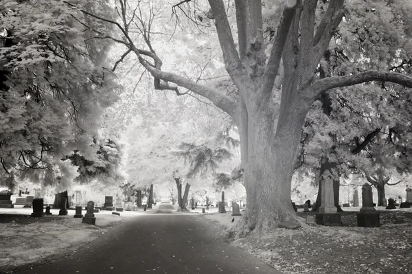 IR foto av en kyrkogård — Stockfoto