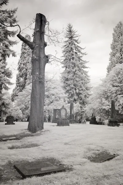 Foto infravermelha de um cemitério — Fotografia de Stock