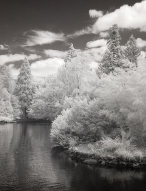 infrarood foto van de eendenvijver in laurelhurst park in portland,