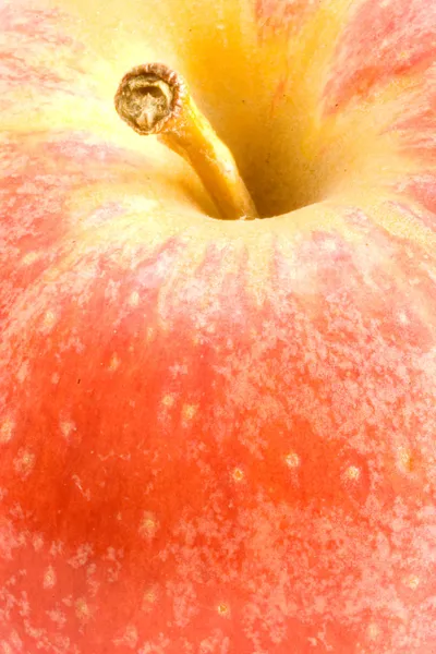 Applause for the Apple — Stock Photo, Image