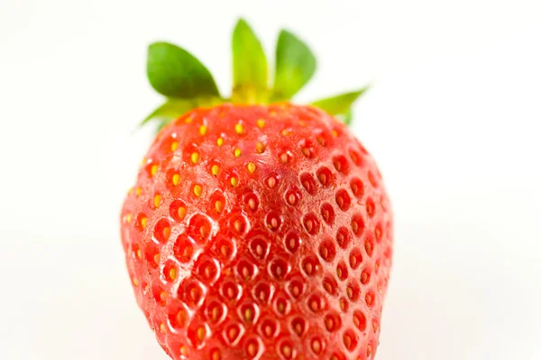 Strawberry sorprendente — Foto Stock