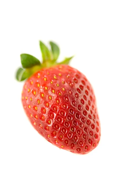 Strawberry sorprendente — Foto Stock