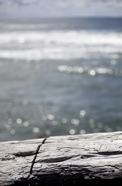 Log with Abstract Ocean Background — Stock Photo, Image