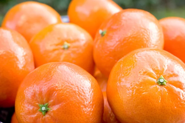 Uma tigela de tangerinas de clementina — Fotografia de Stock