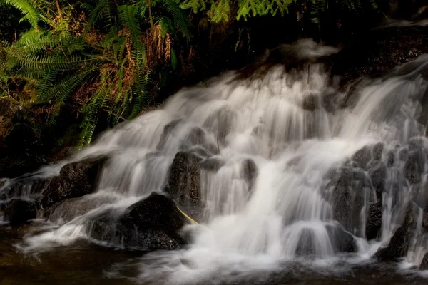 Mosquito creek falls — Fotografia de Stock