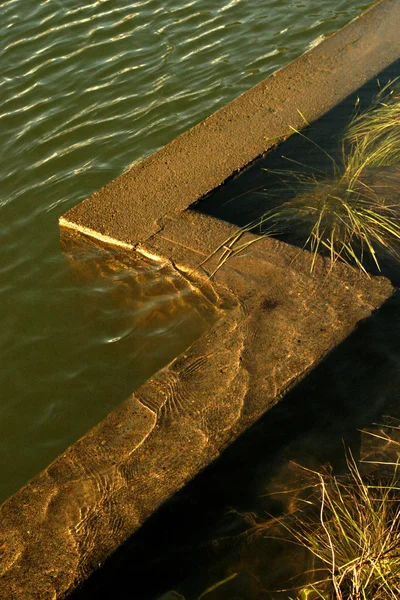 Water, Concrete, and Grass — Stock Photo, Image