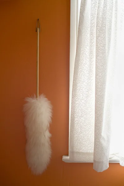 Feather Duster on Orange Wall — Stock Photo, Image