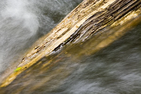 Água Correndo sobre o log caído — Fotografia de Stock